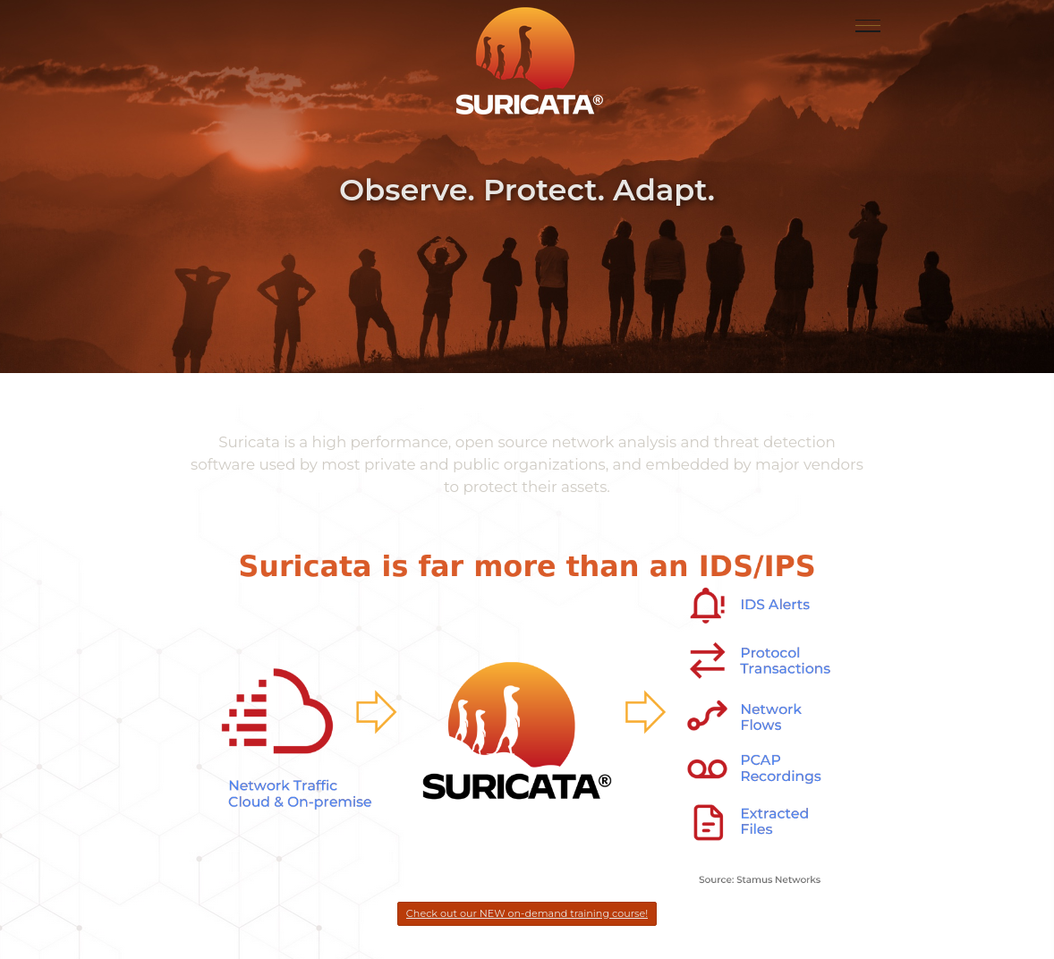 Suricata Website view
